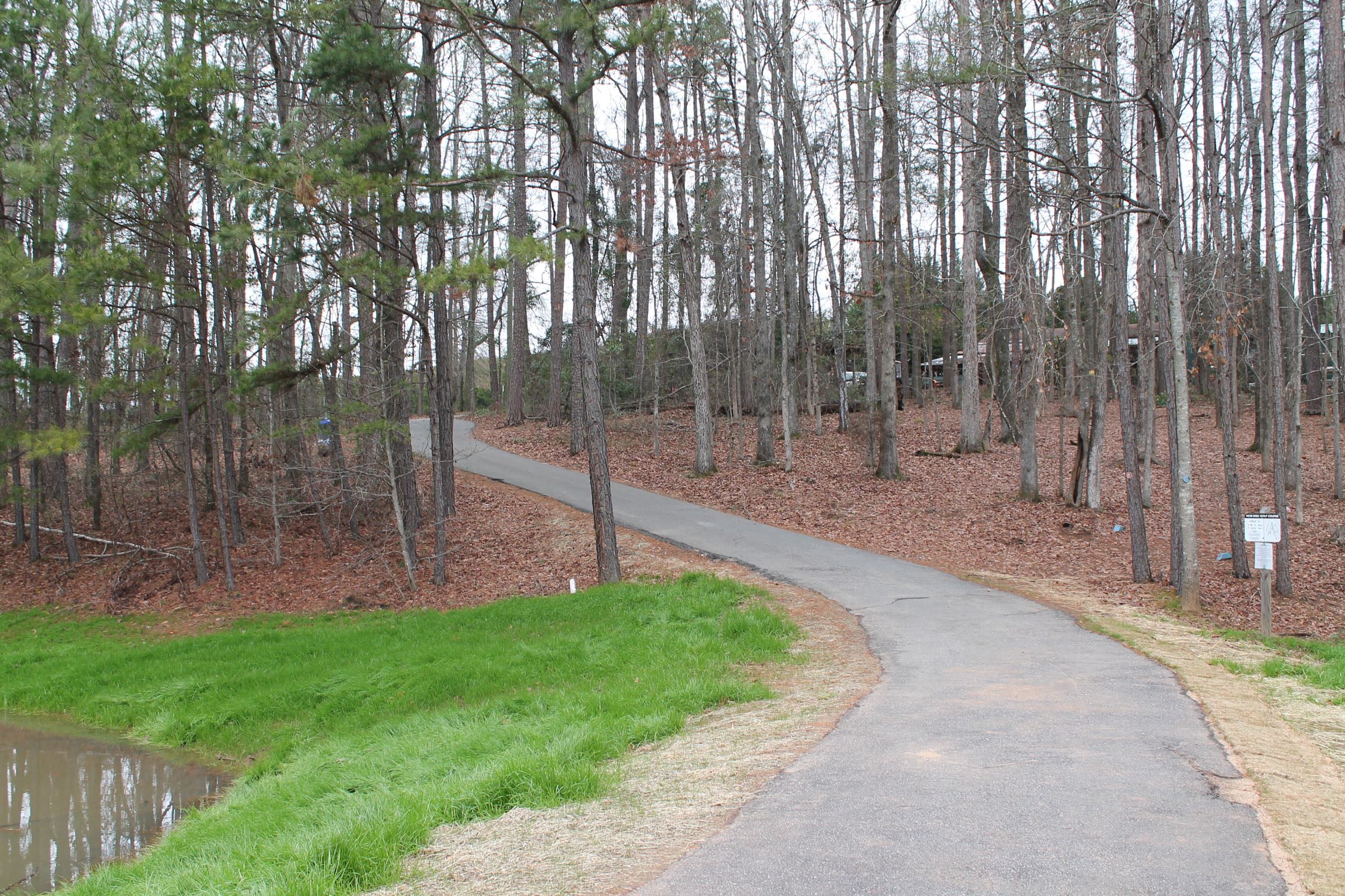 wooded walking trail 