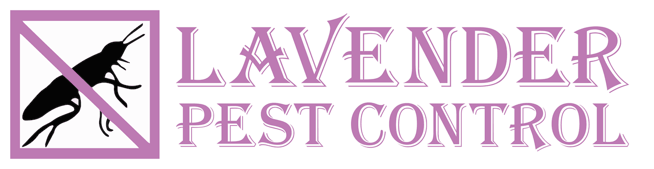 lavenderpest20230302130641